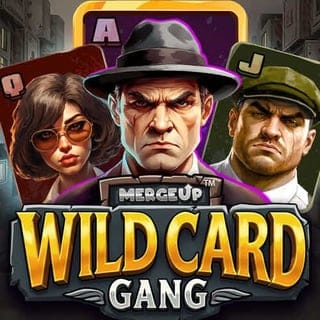 Wild Card Gang game icon